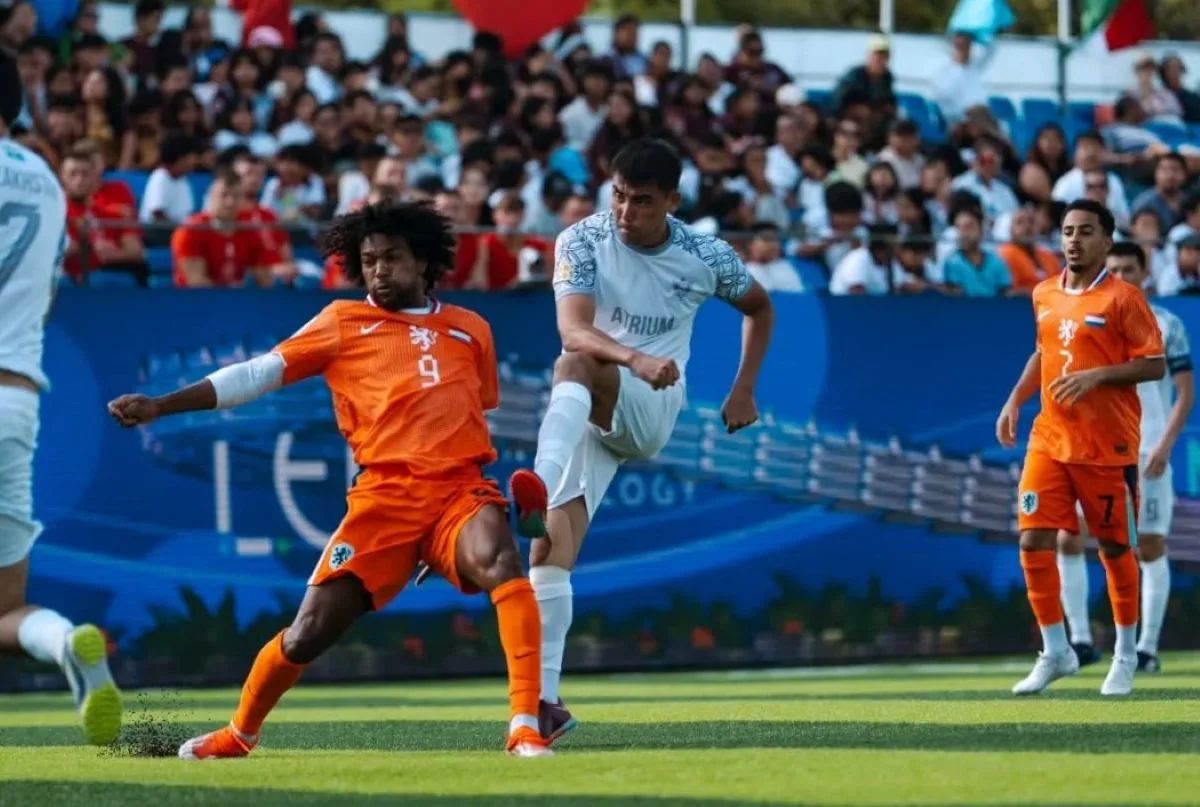 Socca:   ,       …  