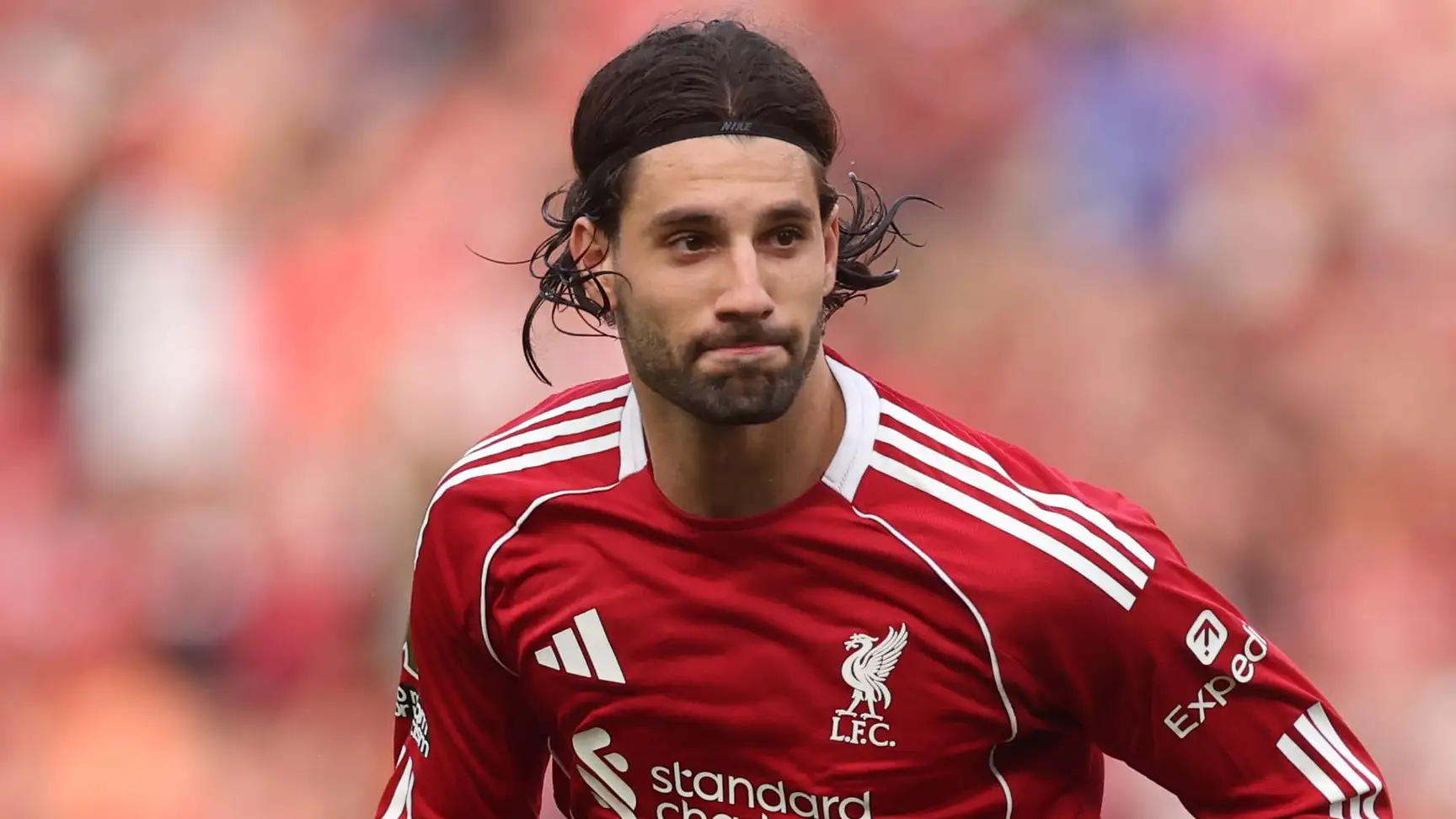 ����, ����� ����� ���� ��… ������� ���!�: �� ���� ��� ������� ��� ���� � ��������� ��� �� ���������