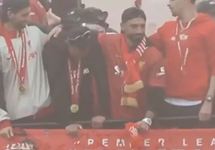  ,   :    ,       ! (vid)