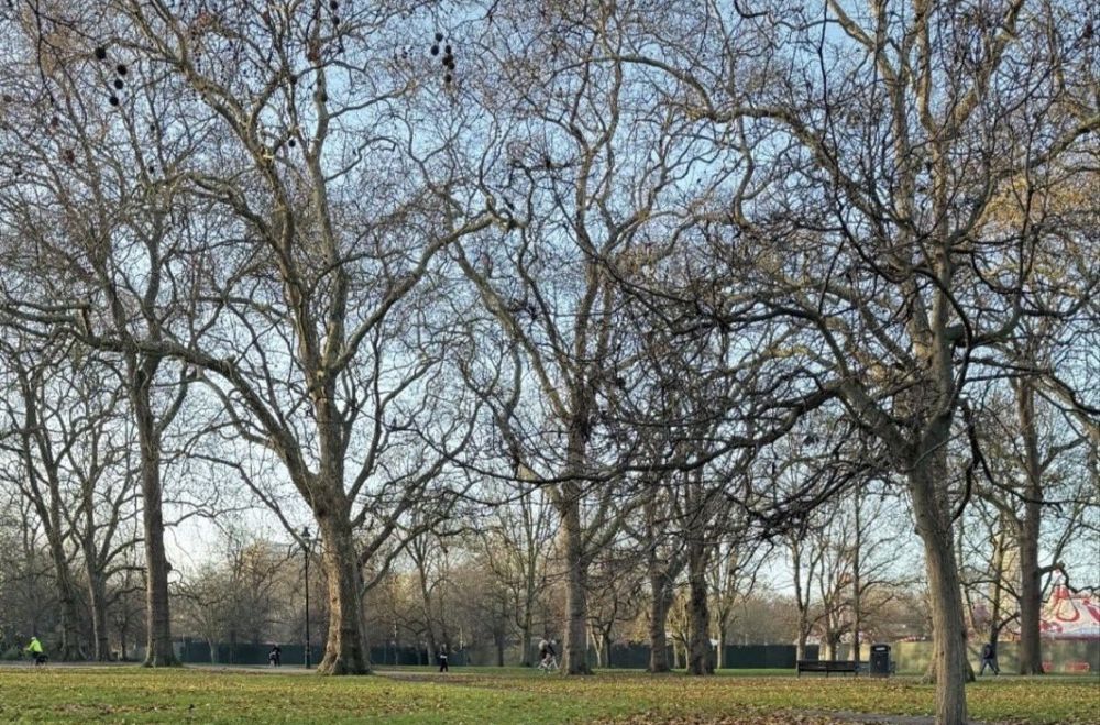 To   ,    - :  ... !