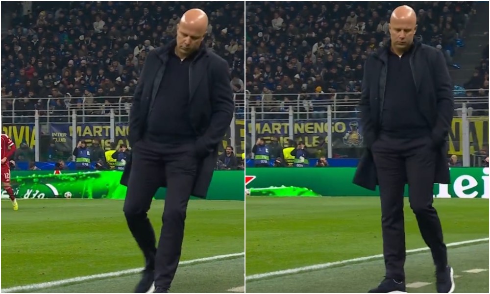   ...  :    ,  ,     ! (vid)