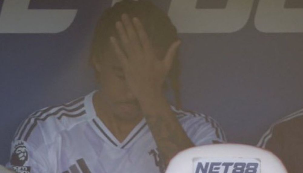 ,    :        ,     ! (vid)