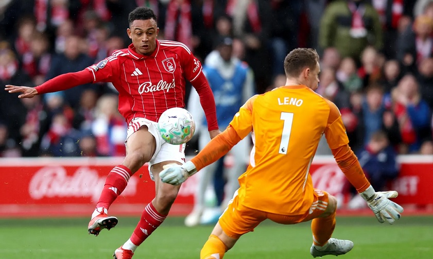 � ������ ����������, ���� ��� ��������, ��� � ������ ���� ����� ����� ����! (vid)