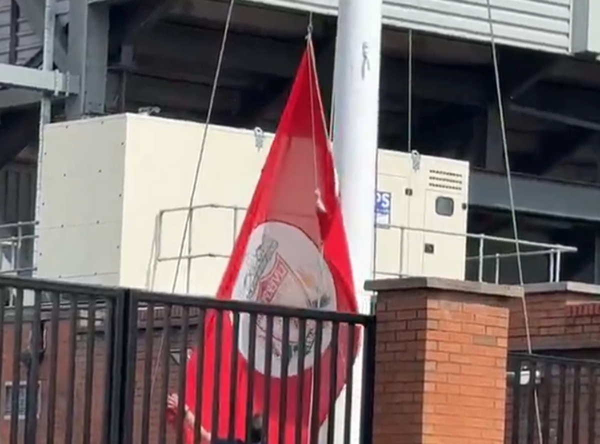    :     ,    … (vid)